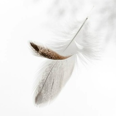 Victoria Kotyun, 11.01