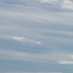 Юлианна Дашкевич, 08.07.1987, Москва