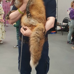 Виктор Кравченко, 16.09.1985, Москва