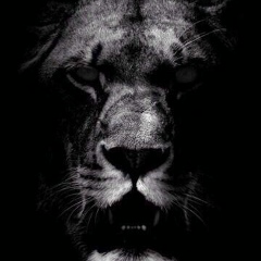 Ruslan Lion, 07.08