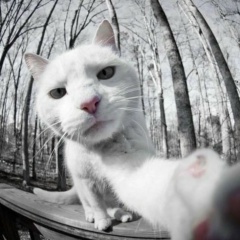 Алексей Андреевич