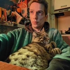 Николос Липартелиани, 13.02.1990, Тбилиси