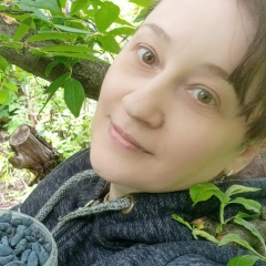 Светлана Дворецкая, Киевский