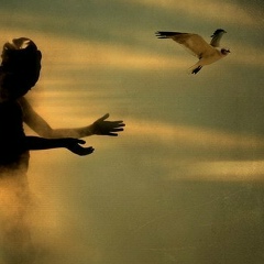 Ir En, 05.07, Мурманск