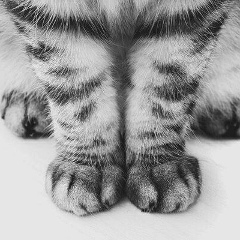 Елизавета Мастаева, 13.02, Киев