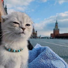 Егор Рулёв, 01.03.2003, Владивосток