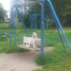 Алексей Акимов, Кондрово