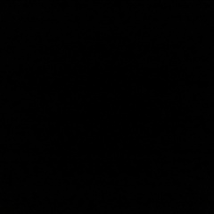 Black *****, Санкт-Петербург