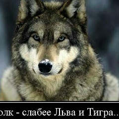 Abdirasul Ataniyazov, 01.01.1998, Нукус