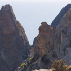 Александр Добро, Санкт-Петербург