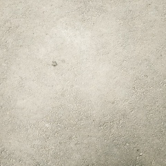 Яна Ревякина