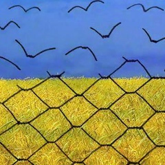 Ольга Лящук, 26.11.1980, Ровно