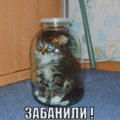 Игорь Петренко, 08.06.1978, Санкт-Петербург