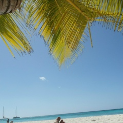 Максим Ляпунов, 03.01.1984, Москва