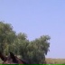 Людмила Доля, 16.05, Киев
