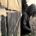Ana-Albi Leek, 21.03, Cairo
