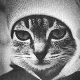 Алексей Сапунков, 17.11