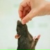 Юлия Костыгова, 27.03.1979, Санкт-Петербург