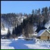 Александр Горошко, Санкт-Петербург