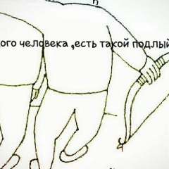 Мэлс Шынарбаев, 29.09.1991, Нукус