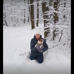 Галина Королева, Йошкар-Ола