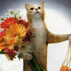 Владимир А, Тамбов