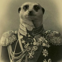 Алексий Николаевич, Москва