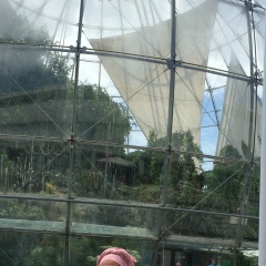 Наталья Спицына, 22.09.1962, Казань