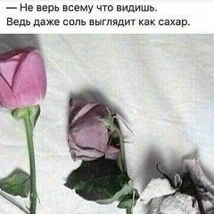 Эльза Балкарова, 16.11, Нальчик