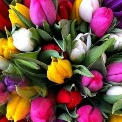 Эльмира Уракова, Атырау