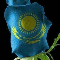 Данияр Алтеев, Астана