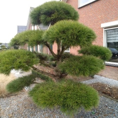 Марина Яроцкая, 01.04.1975, Москва