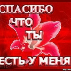 Лучший Друг, Донское