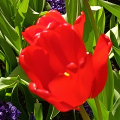 Яна Зиновьева, 12.06, Екатеринбург