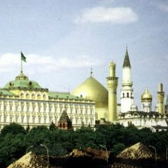 Махаммад Хаши, Medina