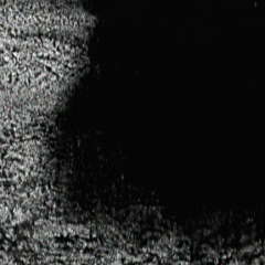 Максим Голота, 09.04.1996, Киев