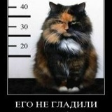 Денис Катрук, 27.02.1986, Алушта