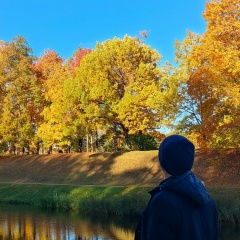 Александр Владимиров, Санкт-Петербург