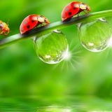 Лариса Борщева, Чебоксары