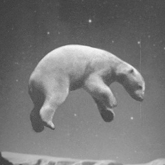 Павел Насута, 26.02.1984, Ноябрьск