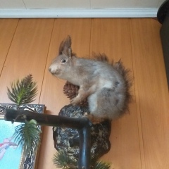 Толик Жакшыбаев, 18.11.1995, Москва