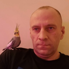 Дмитрий Андрианов, 17.02.1988, Санкт-Петербург