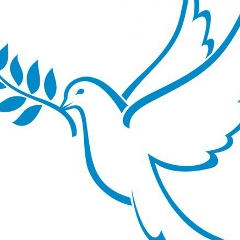 Dimitry Yc, 01.06, Novi Sad