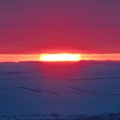 Роман Кычин, 24.11.1986, Нарьян-Мар