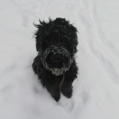 Олег Андрианов, Южно-Сахалинск