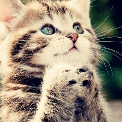 Анастасия Матеевская, 26.11.1991