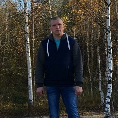 Андрей Сидоров, Боровичи