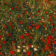 Катя Лопаева, Санкт-Петербург