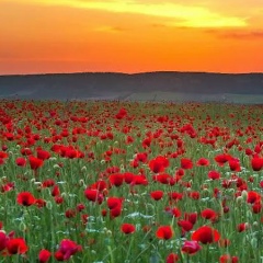 Ольга Веретковская, 27.03, Москва