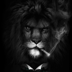 Rom Nikoghosyan, 30.10.1987